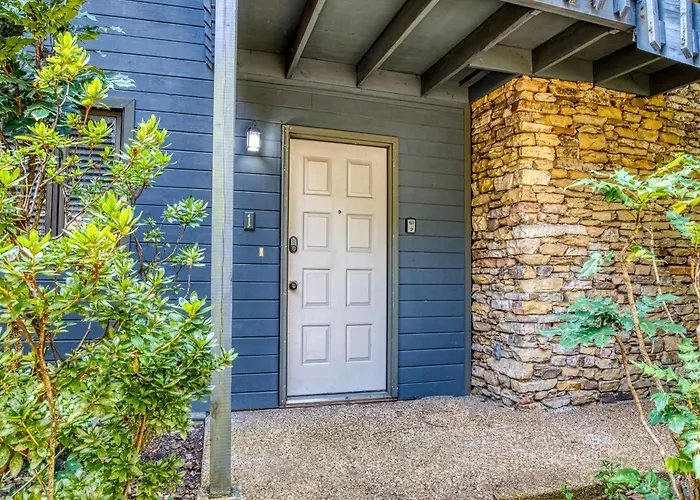 A Stones Throw, Relax & Unwind Free Attraction Tickets, Wifi Villa Pigeon Forge
